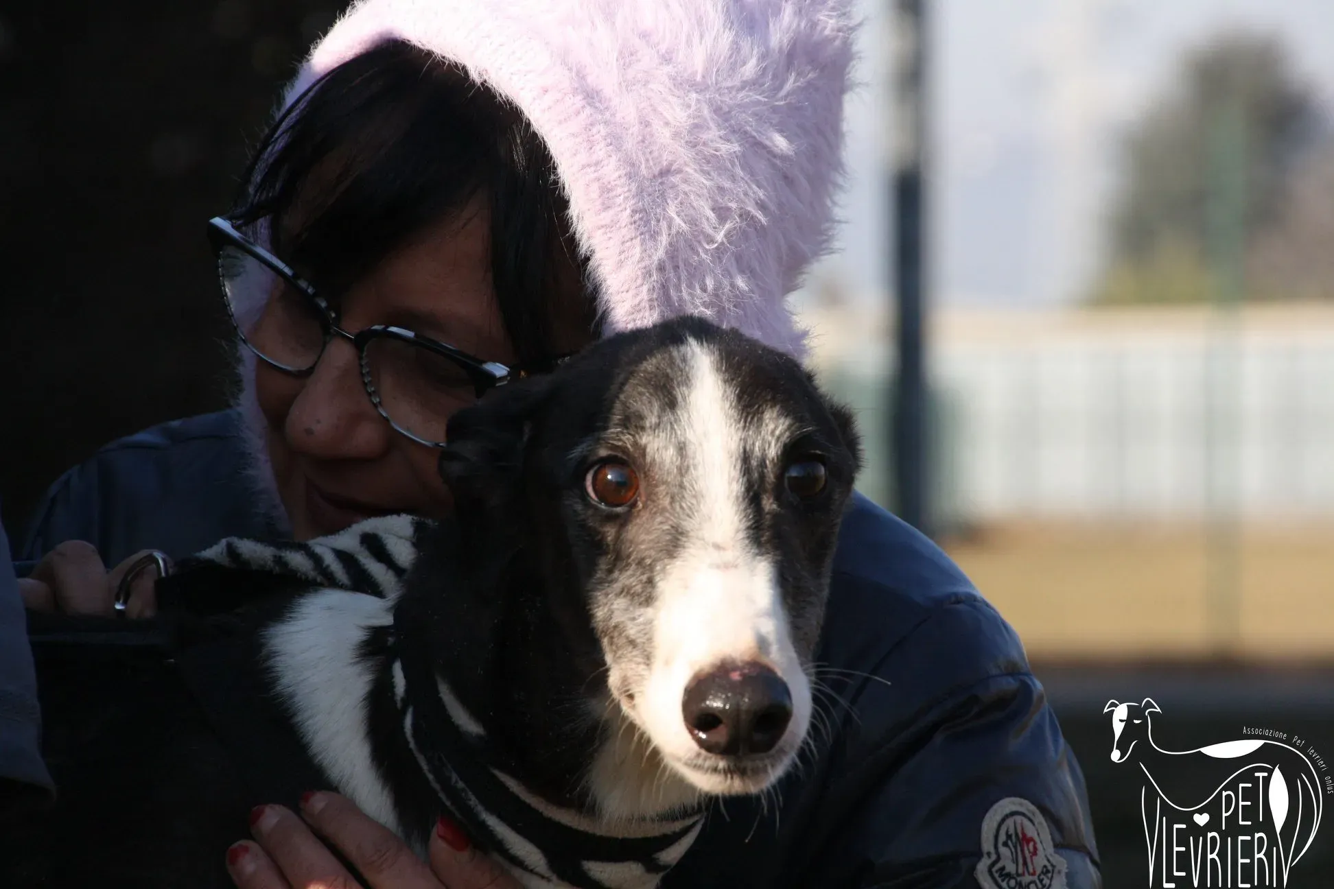 50442201 2085880384829139 8767833666408677376 o