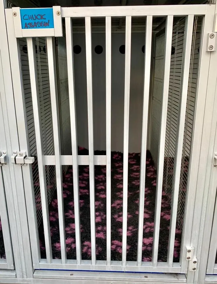 50463079 2081128191971025 4605101730483404800 n