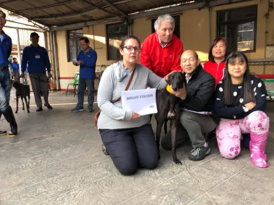 50464637 2080695132014331 408157961978904576 n