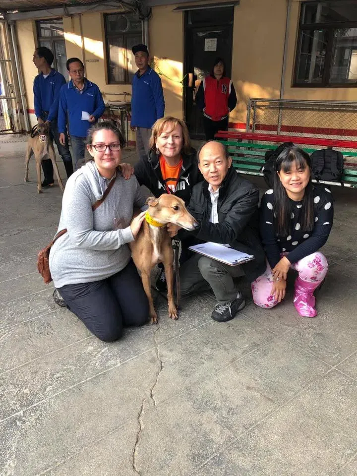 50472007 2080689175348260 517376957386588160 n