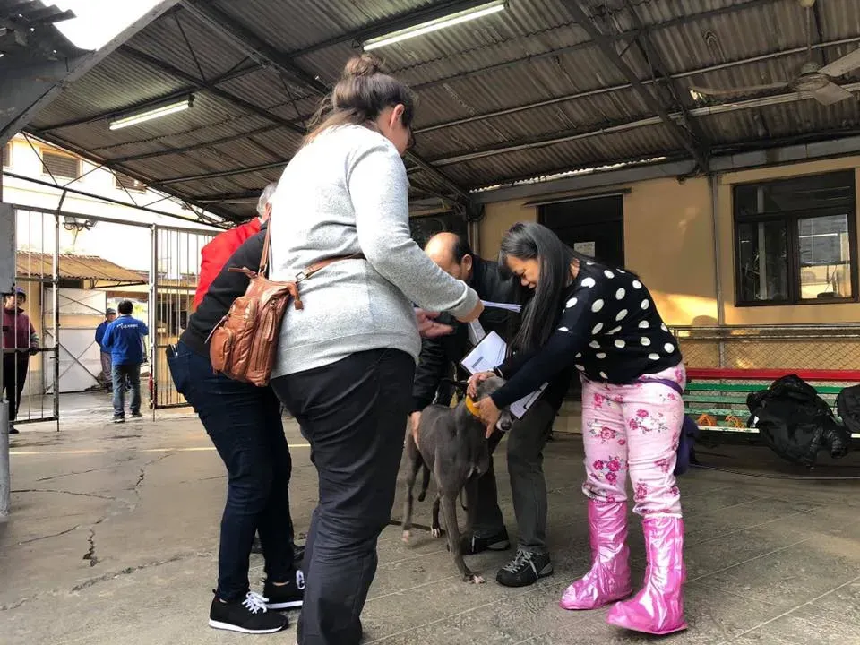 50473213 2080689002014944 2342007887976464384 n