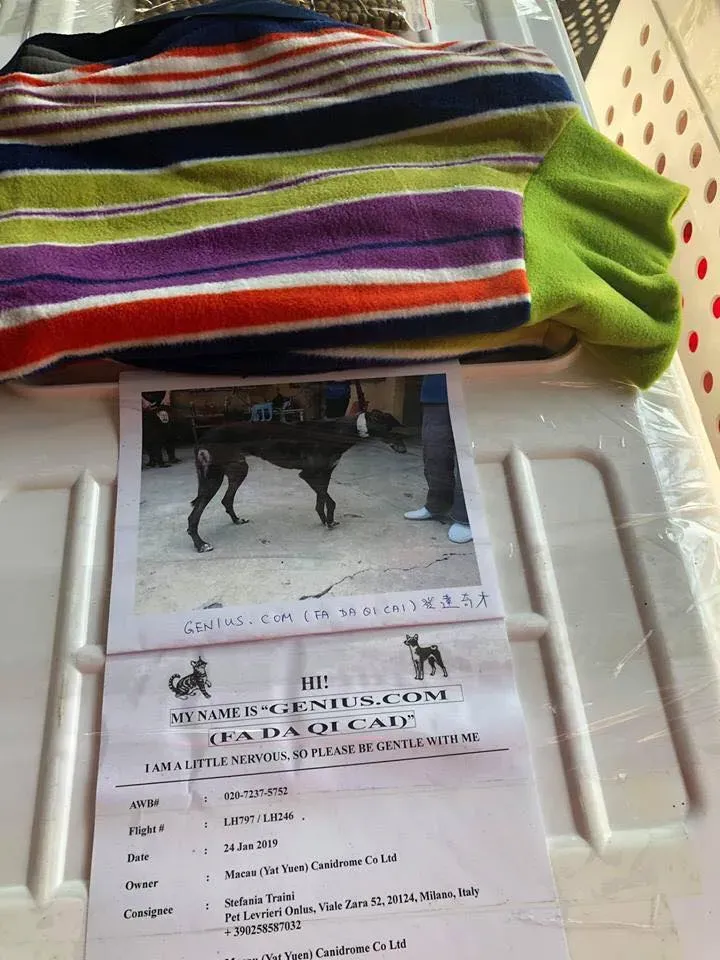 50510649 2083803781703466 4010772836191830016 n