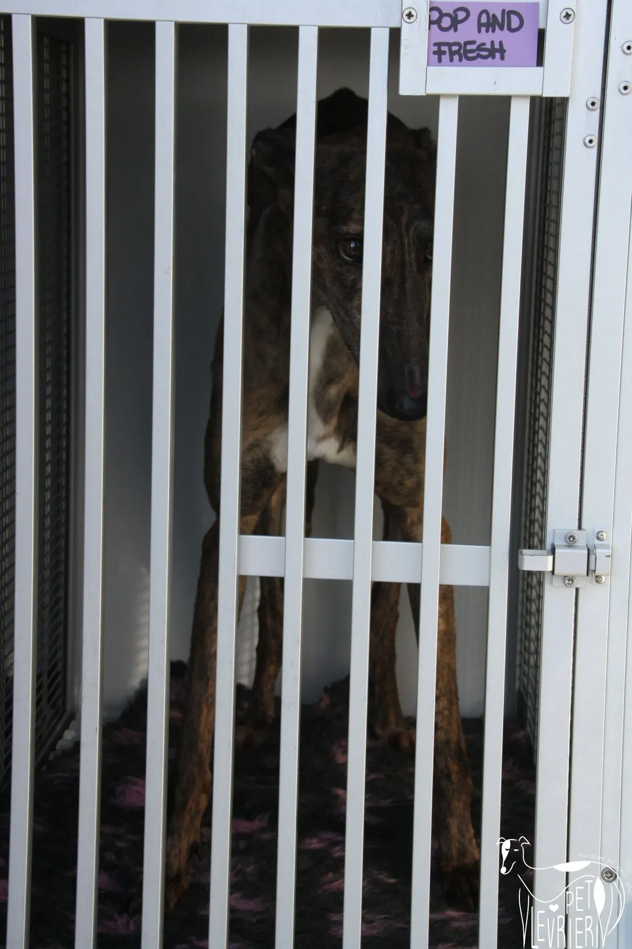 50515057 2085878364829341 4455606228285915136 o