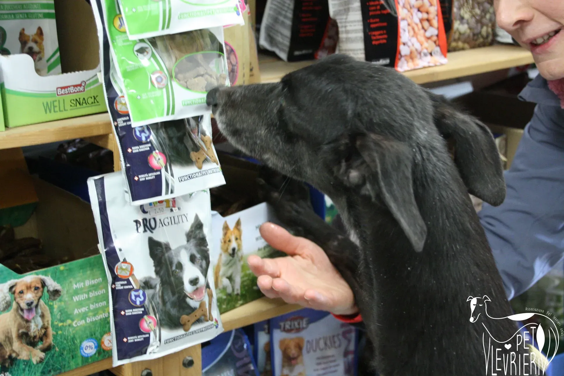 50517219 2085893348161176 5655781637393219584 o