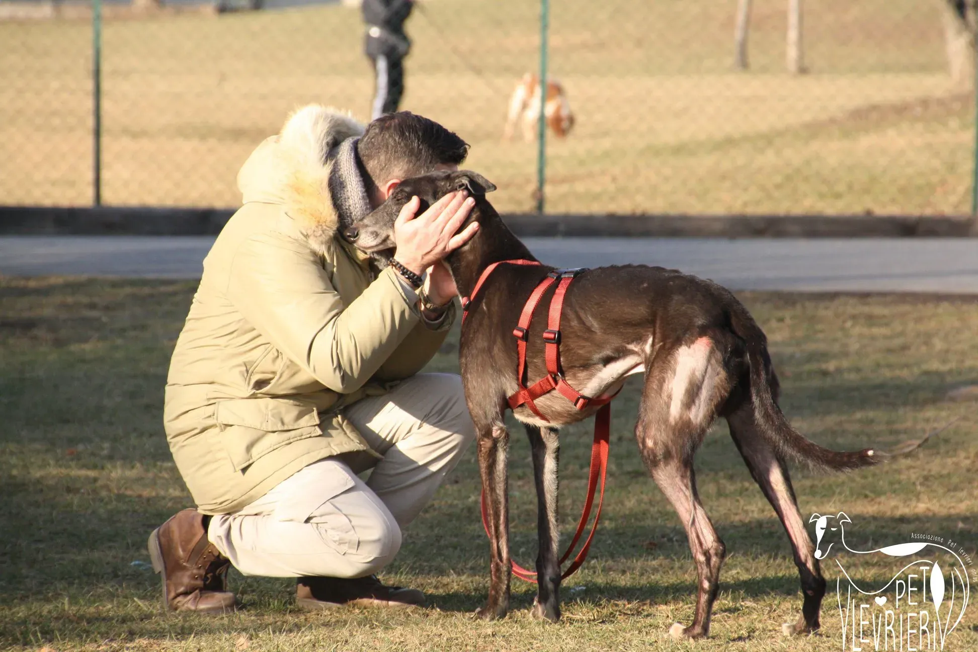 50517222 2085893368161174 4492175667198164992 o