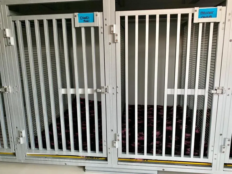 50519800 2081128038637707 4902464877848690688 n