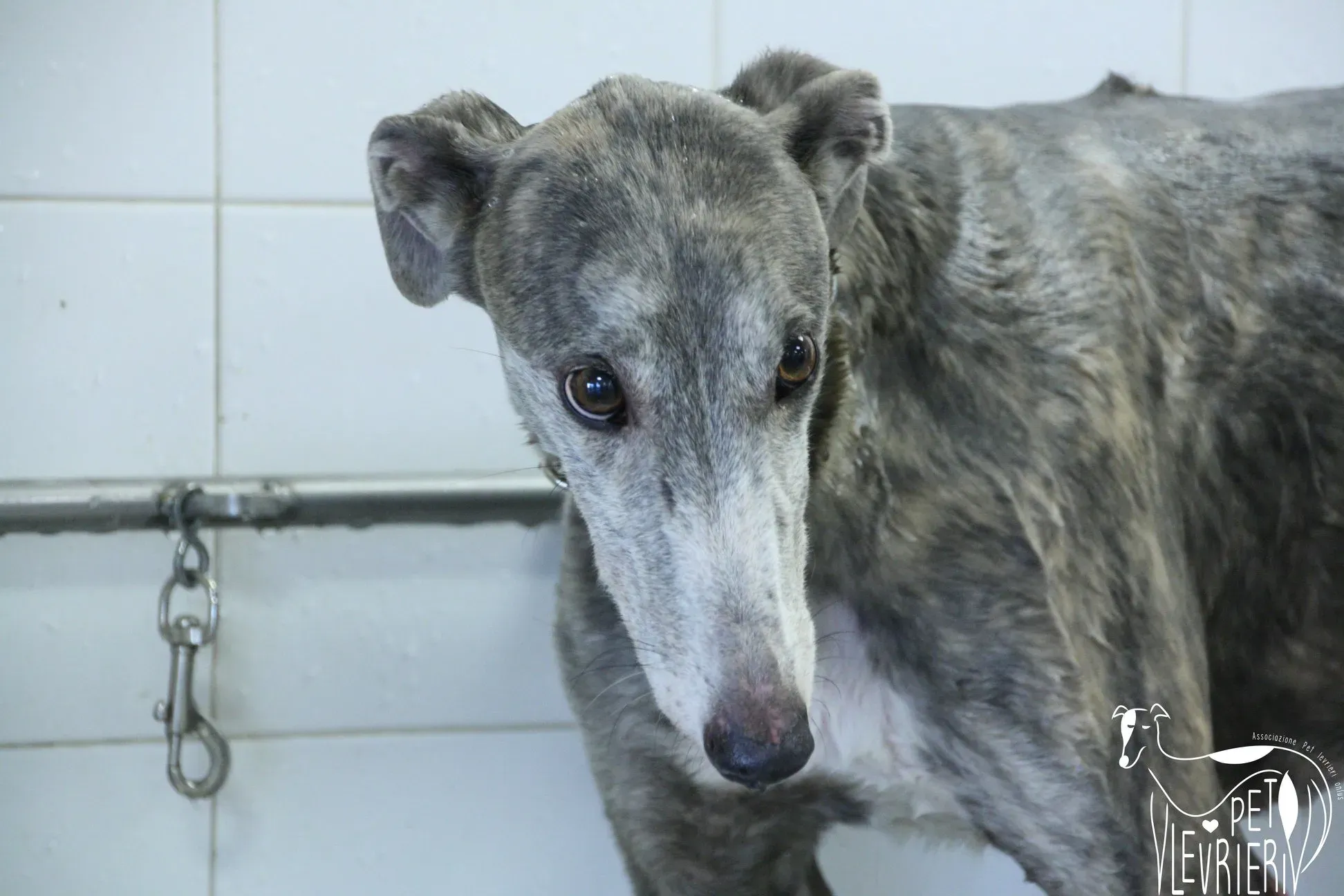 50519807 2085884474828730 2739085710505017344 o