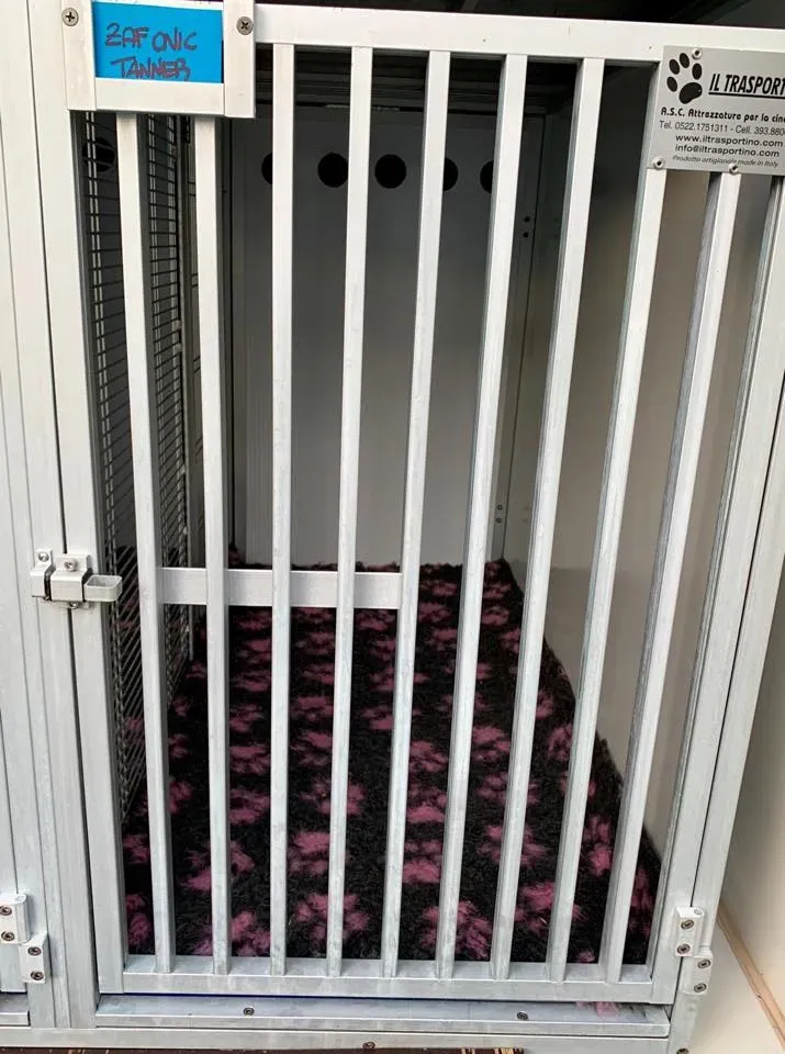 50519842 2081128211971023 389200753723441152 n