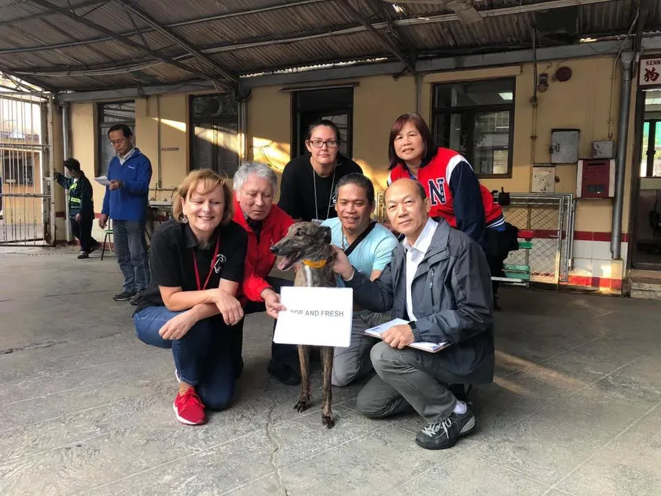 50520742 2083803418370169 5589519152533471232 n