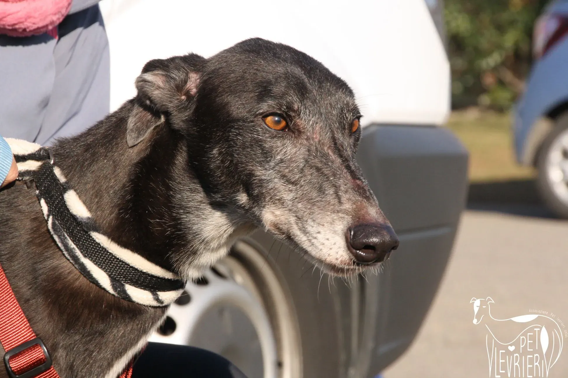 50524934 2085891408161370 2549391461900615680 o