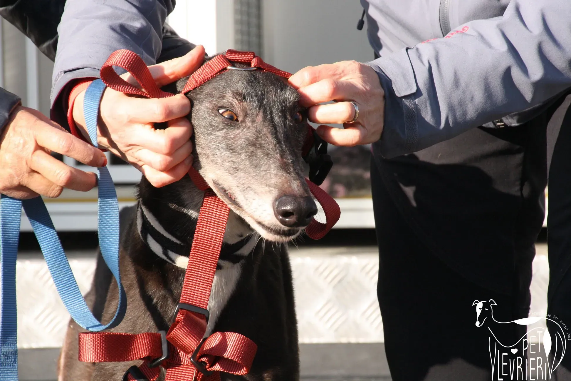 50534636 2085891844827993 1960579019309056000 o