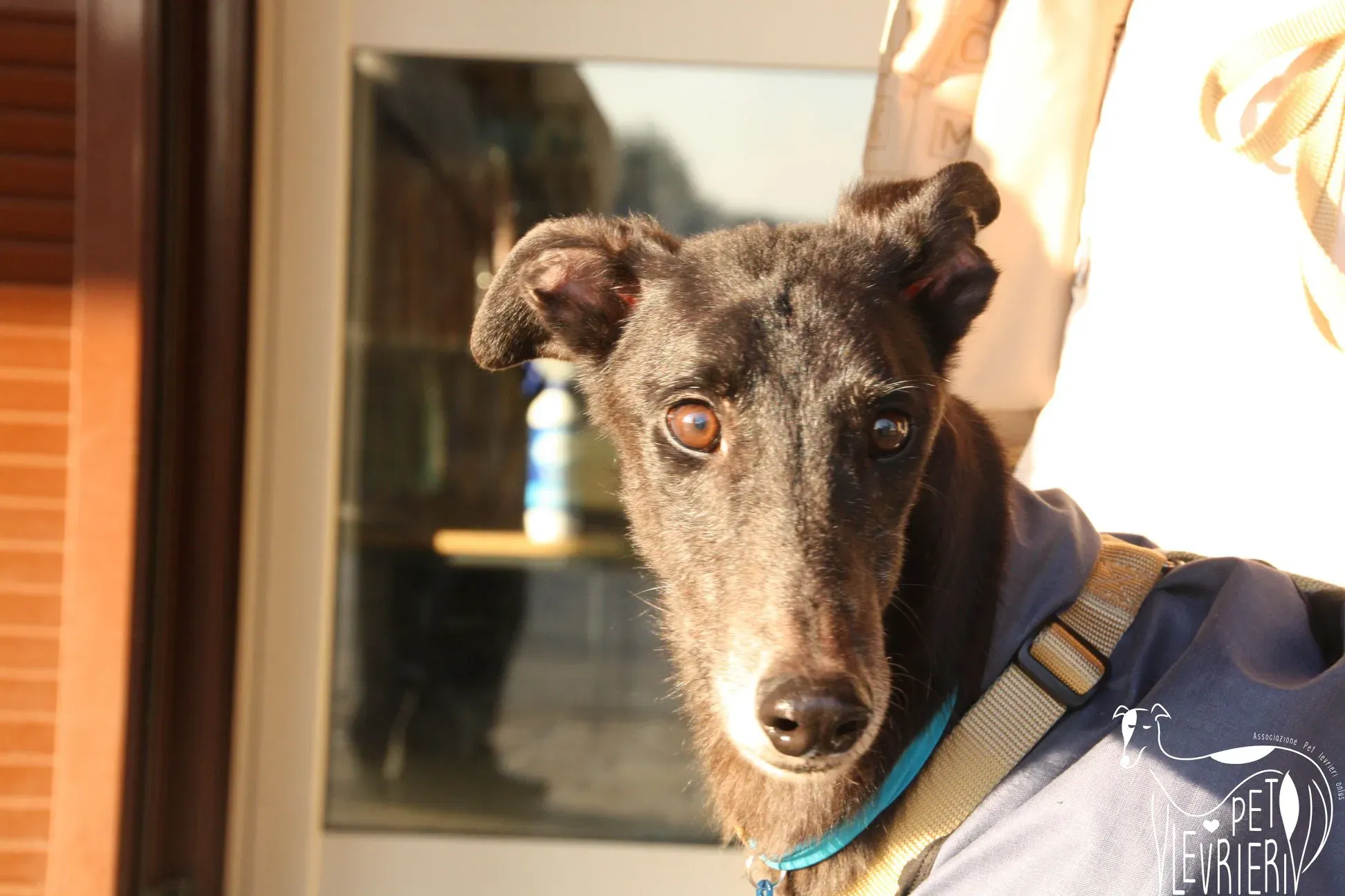 50534669 2085886828161828 1606381329925013504 o