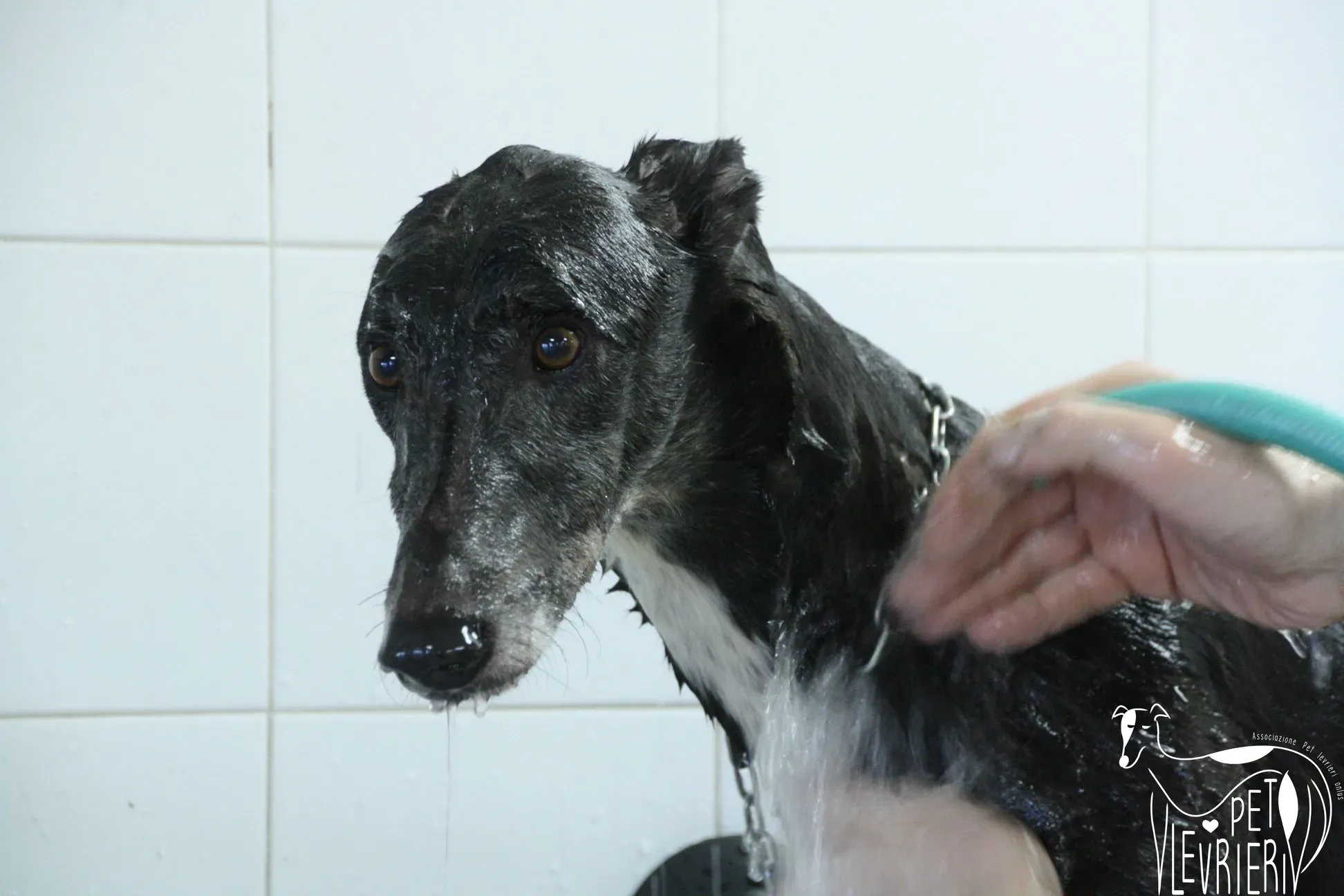 50537141 2085885434828634 7016211312925474816 o