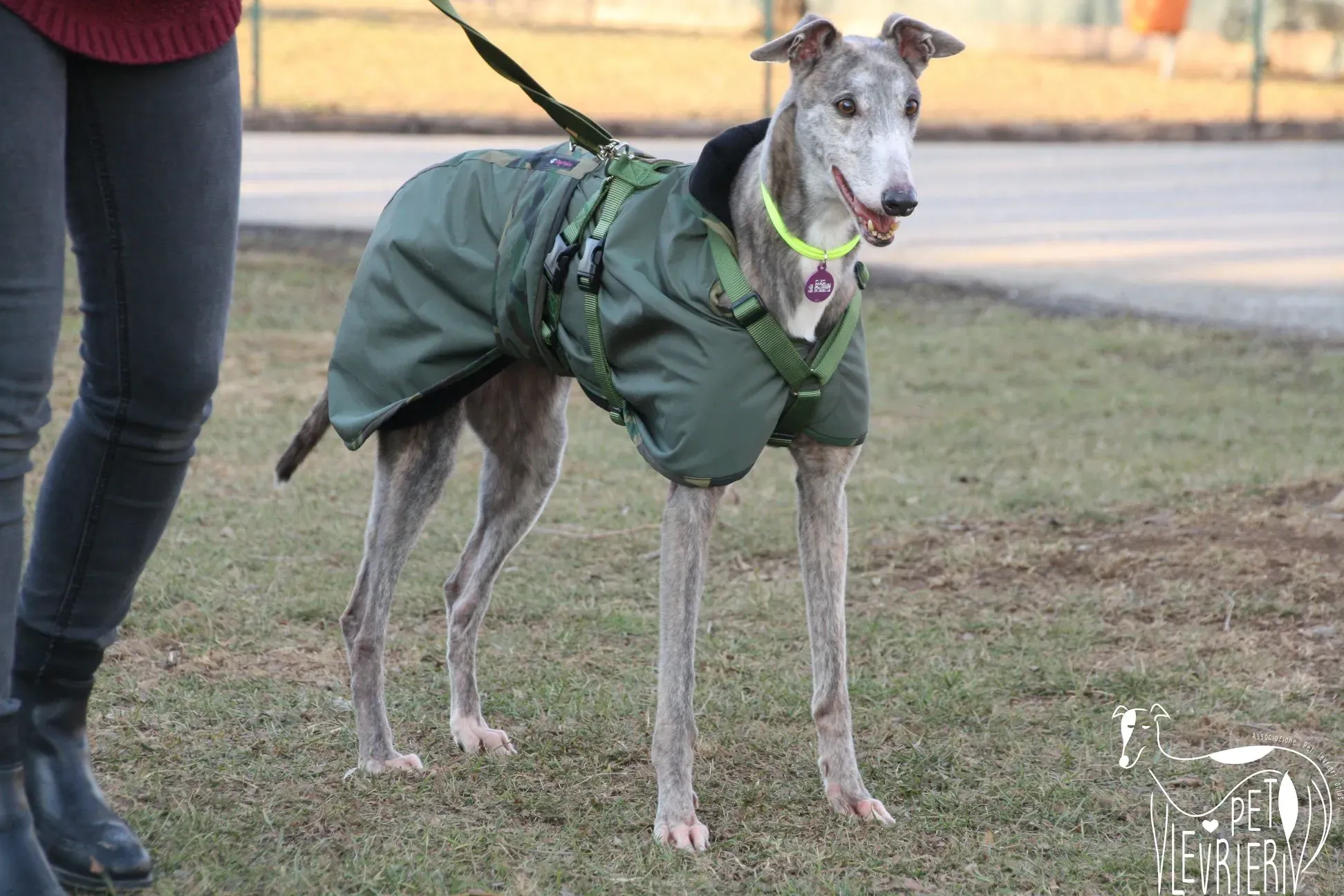 50539507 2085897321494112 3024689838709276672 o