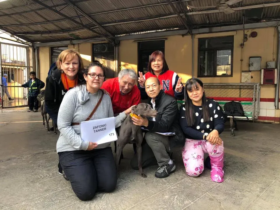 50556253 2080689032014941 6942837225511976960 n