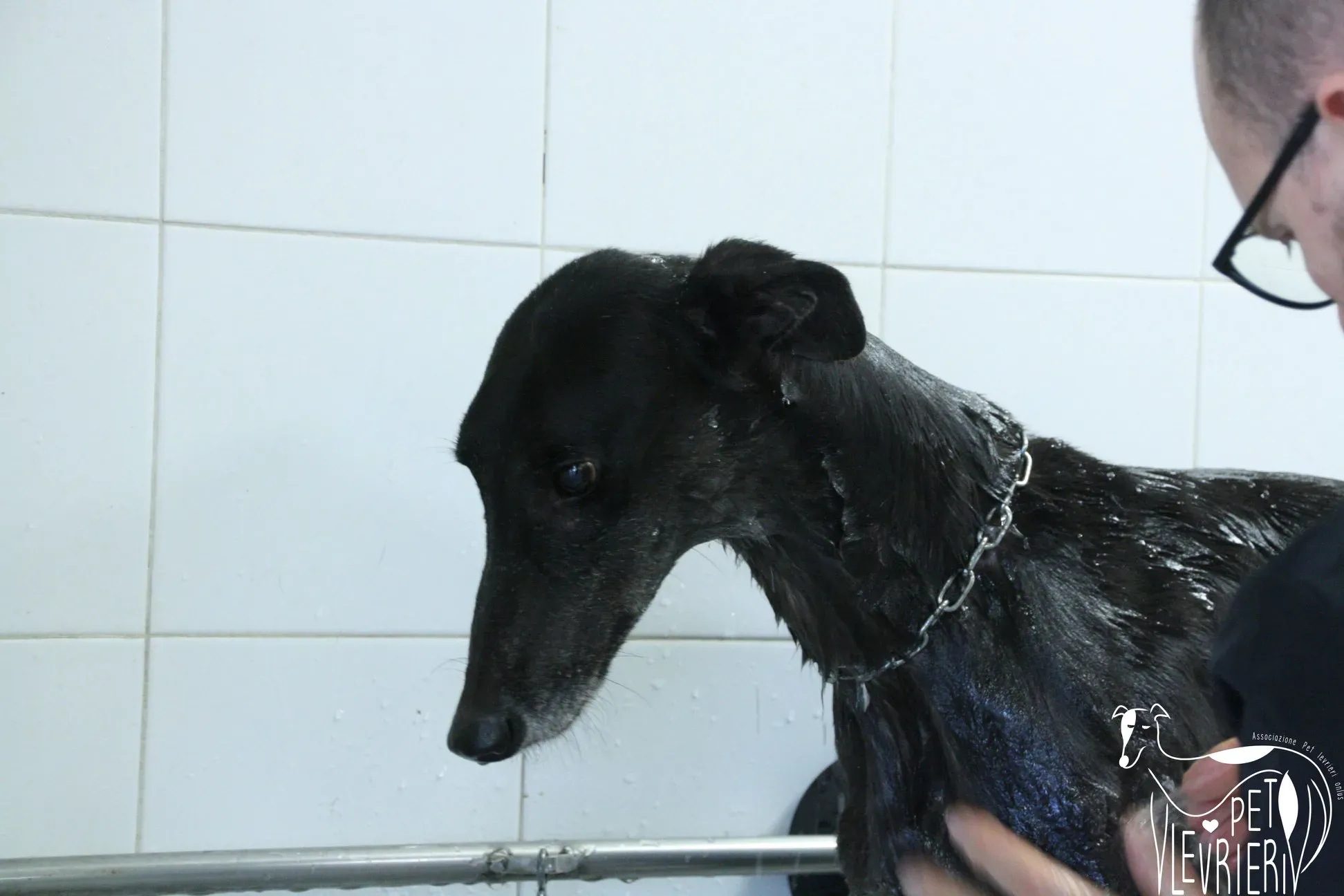 50560896 2085882741495570 843974684415361024 o