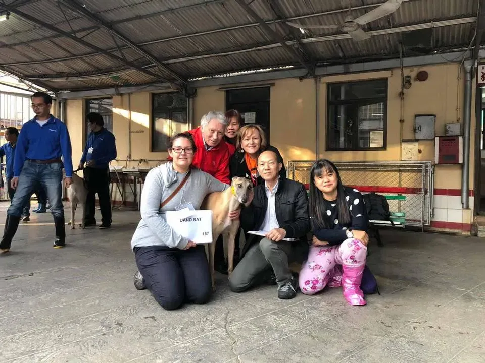 50567128 2080689108681600 5674575641186402304 n