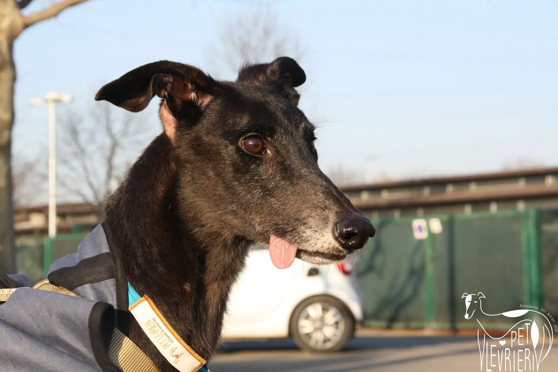 50567706 2085887034828474 2269476408721932288 o