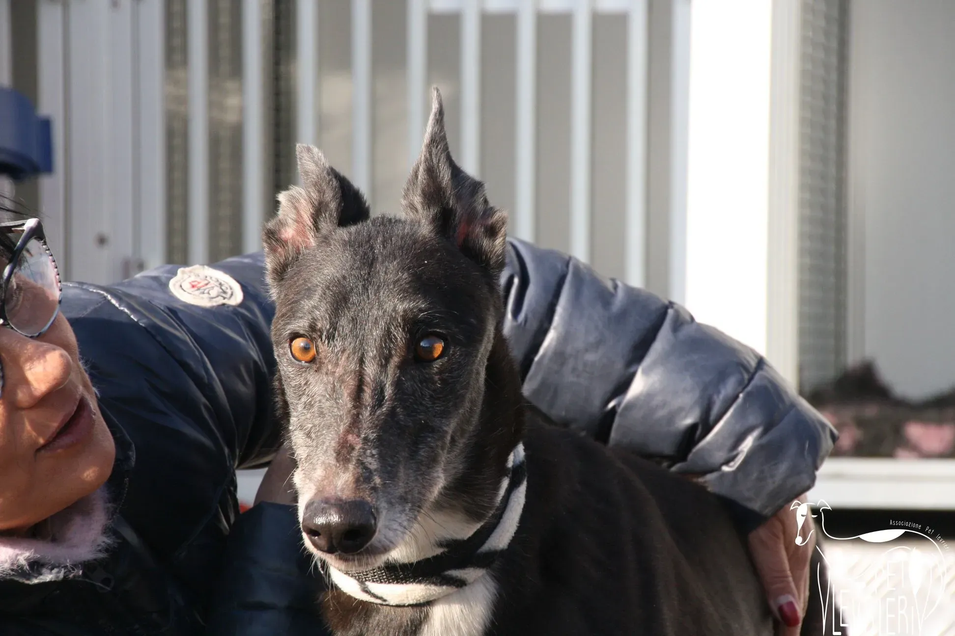 50568738 2085881018162409 9106330879503892480 o