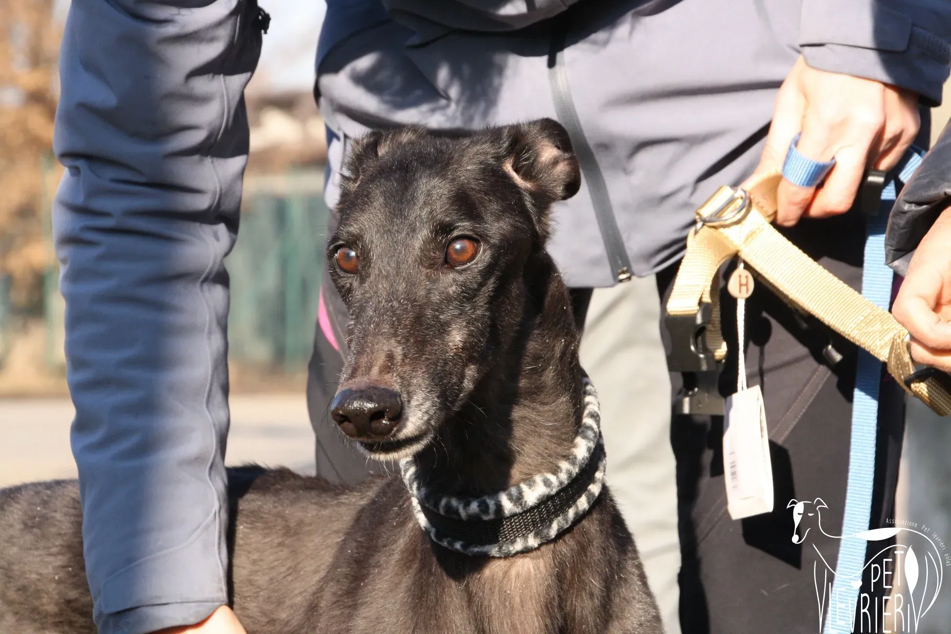 50574213 2085892364827941 7000529253456412672 o