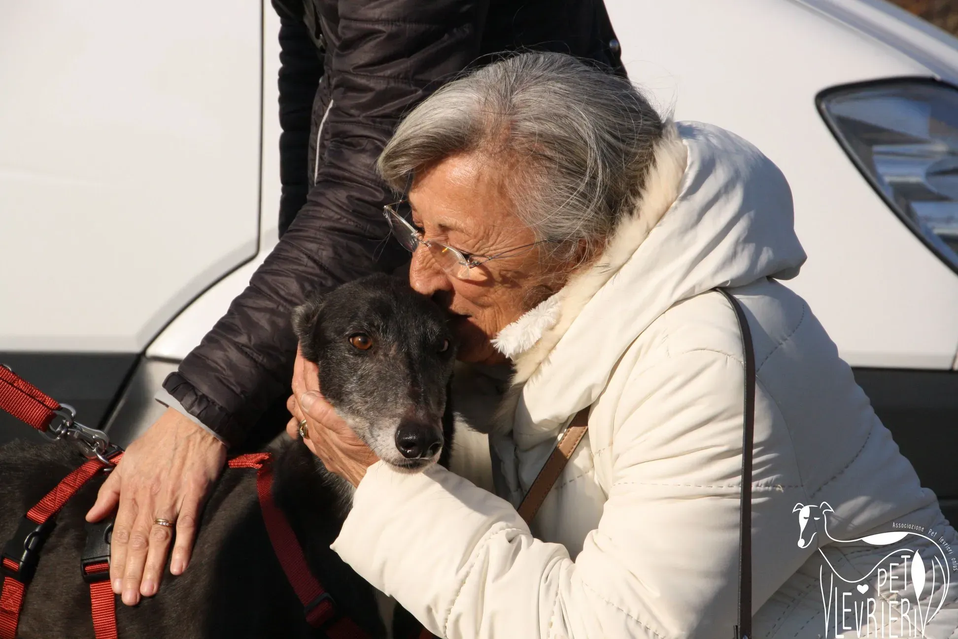 50576439 2085881061495738 8096390940714860544 o