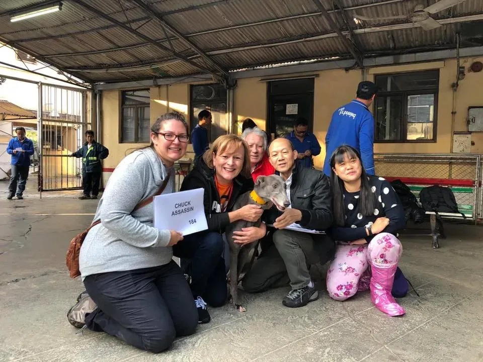 50583714 2080688962014948 6766789479576371200 n