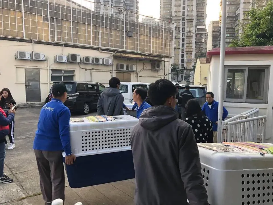 50594545 2080689375348240 5148819292799631360 n