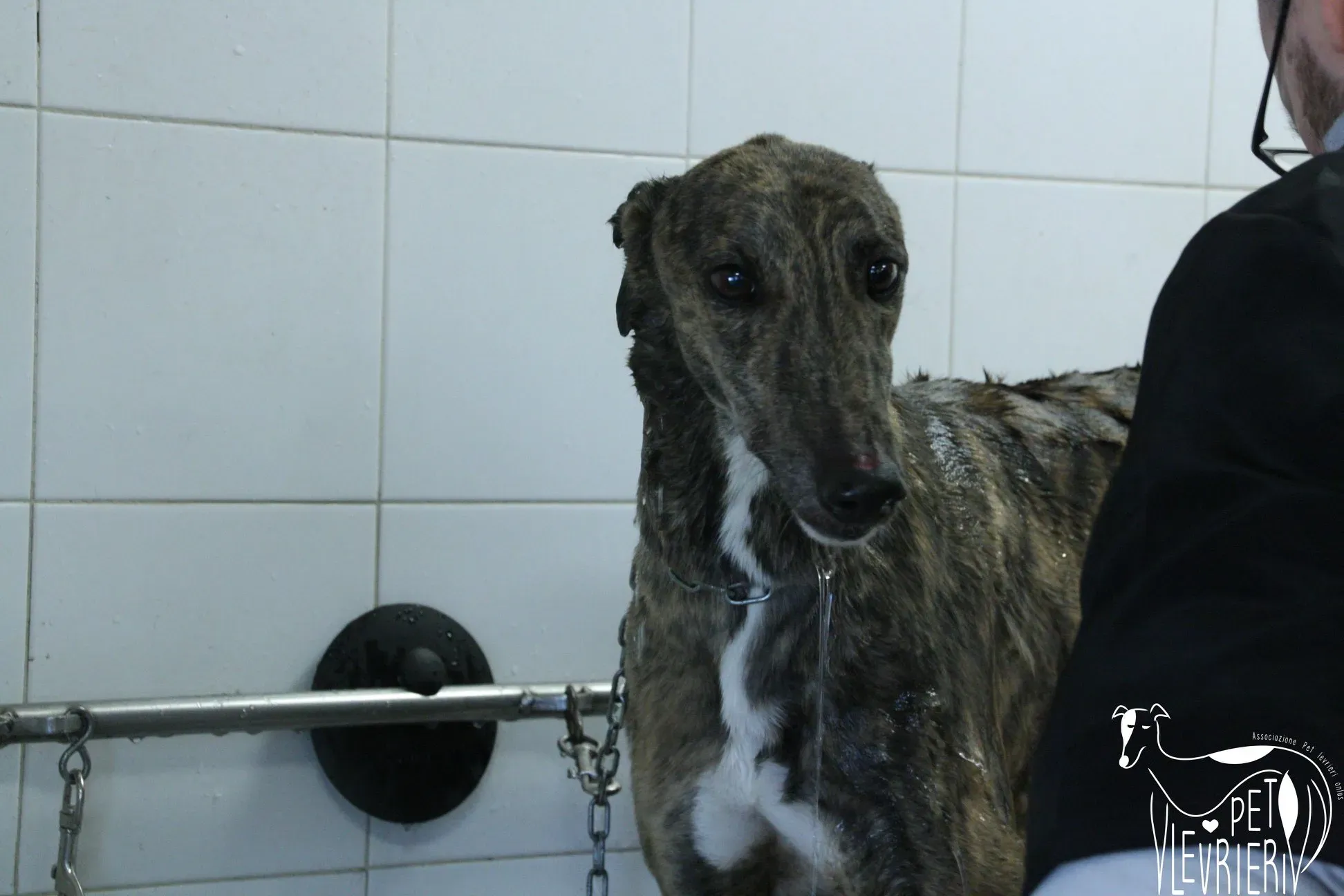 50595990 2085882511495593 529350617538232320 o