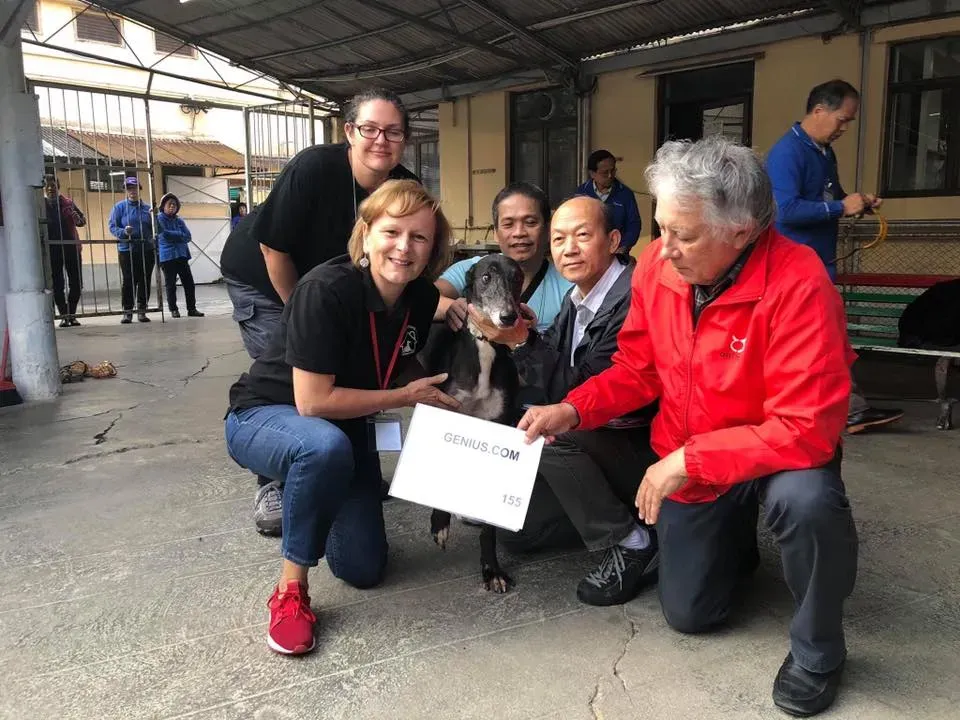 50599203 2083803258370185 905577138348883968 n