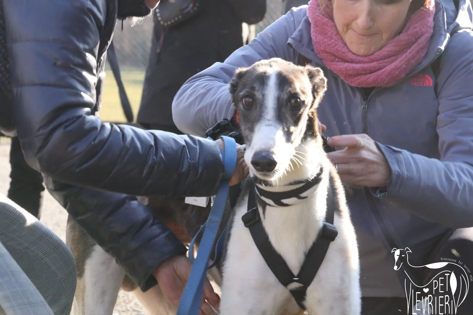 50601027 2085880168162494 2356246666635378688 o