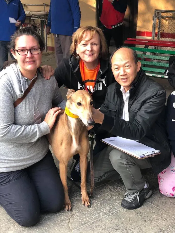 50601037 2080689158681595 4839180536196890624 n