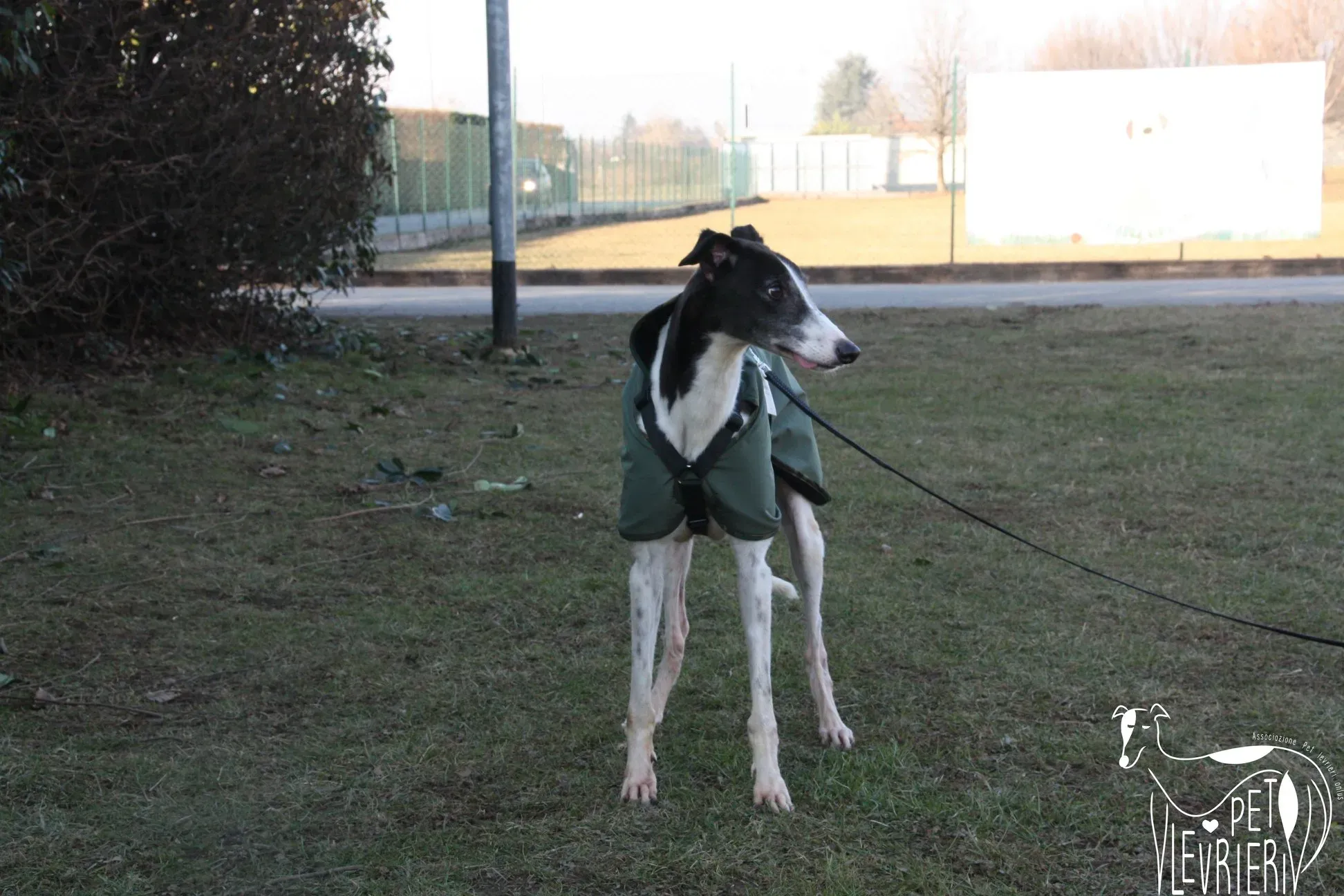 50601070 2085894014827776 1860090335204474880 o