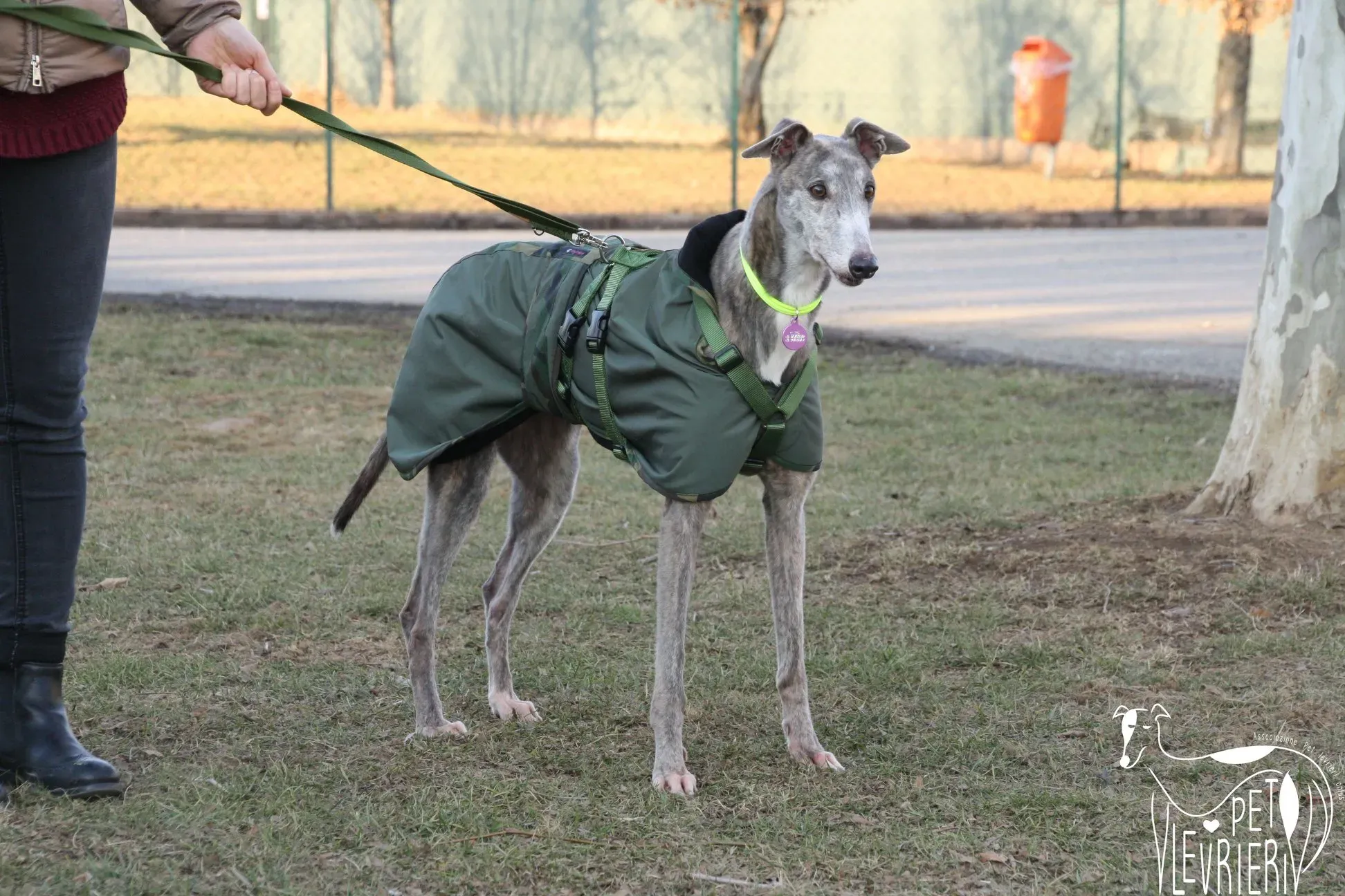 50604654 2085897668160744 4117215749422972928 o