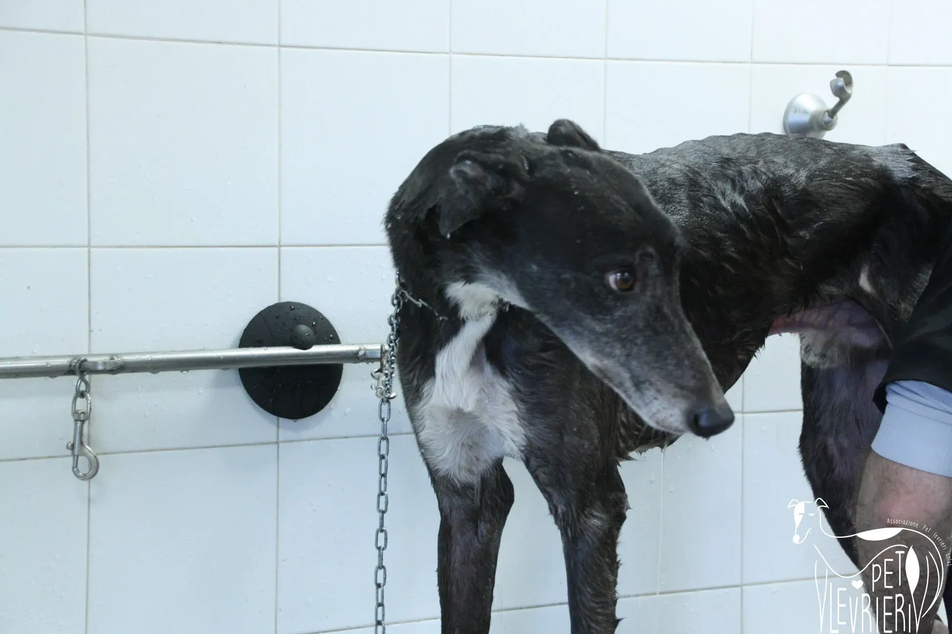 50629963 2085885384828639 931001476430430208 o