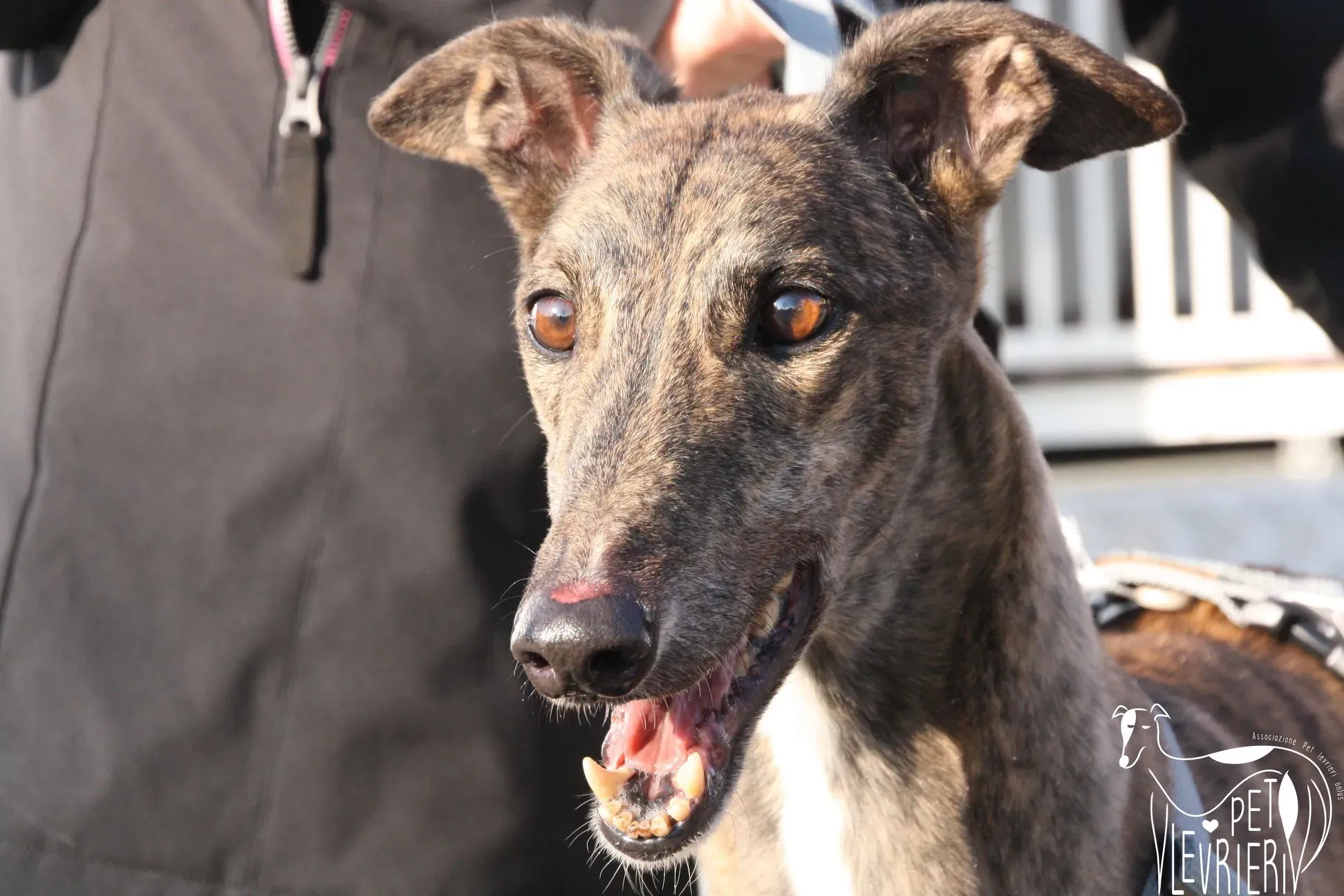 50634345 2085891371494707 4224396014049558528 o