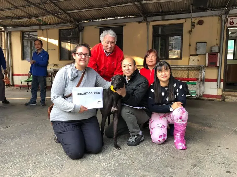 50644885 2080688968681614 1415300786136547328 n