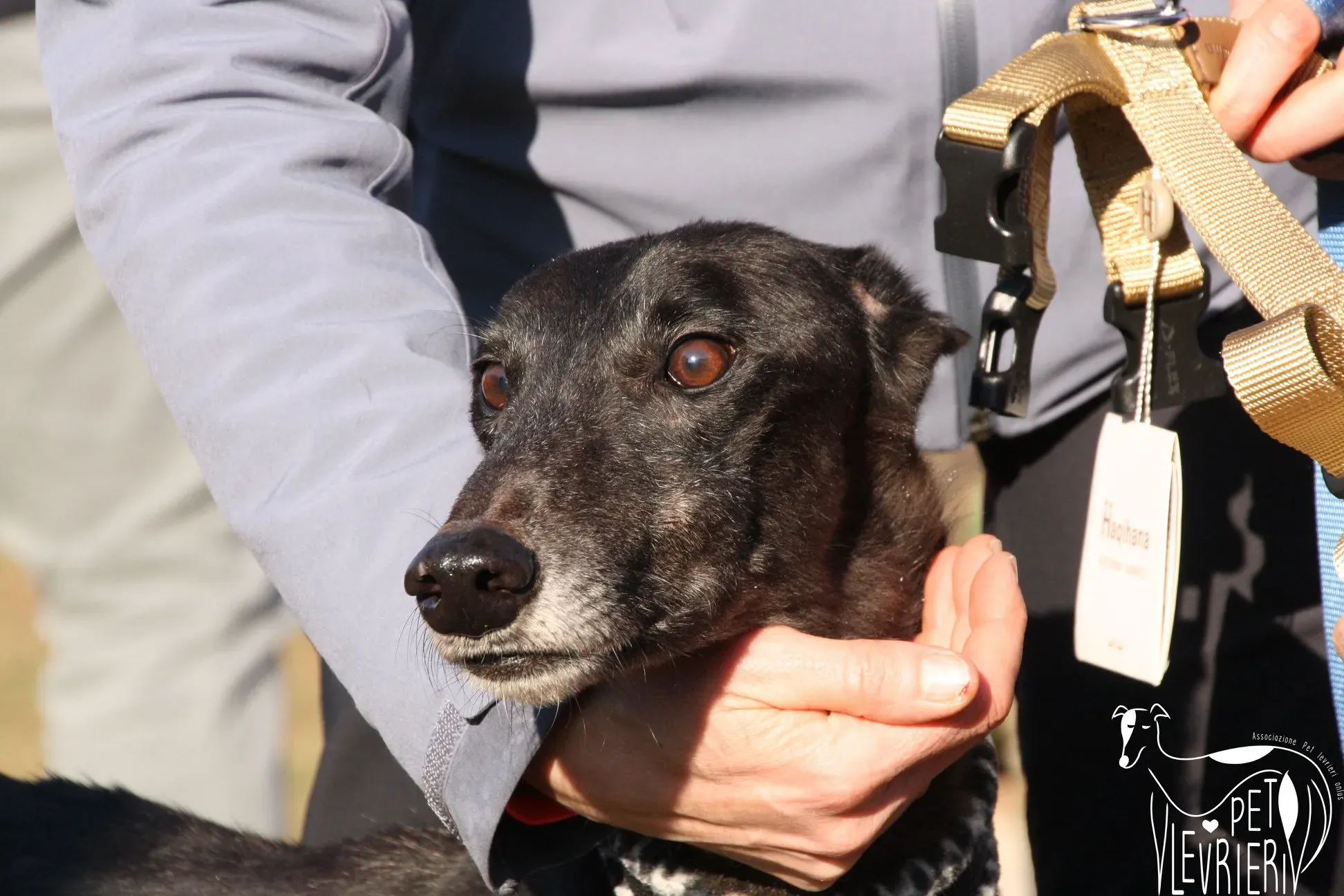 50647874 2085892061494638 2763551188547796992 o