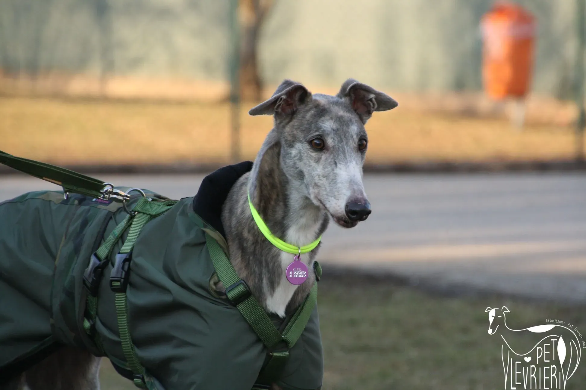 50652406 2085887848161726 1150743762914246656 o