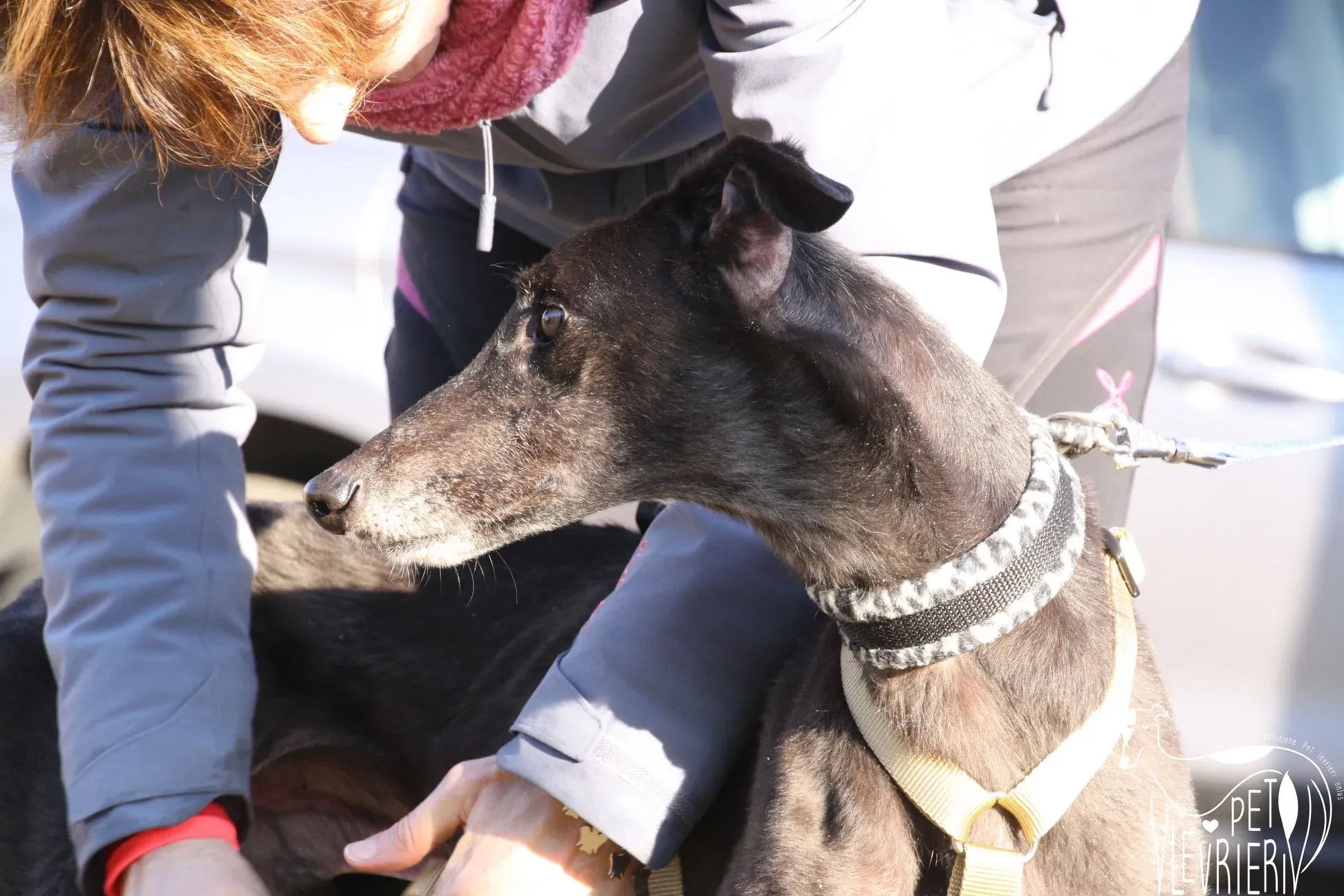 50660C5E 604D 4D78 B2E1 EA480D2DC5C6