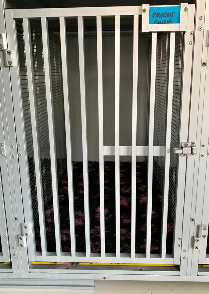 50677089 2081128061971038 3342338786628468736 n