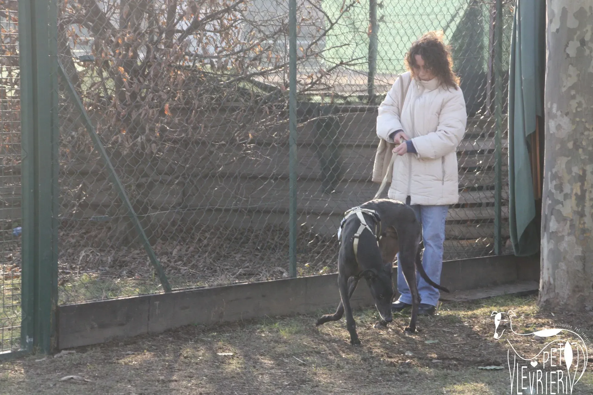 50685910 2085893011494543 2457842997035794432 o