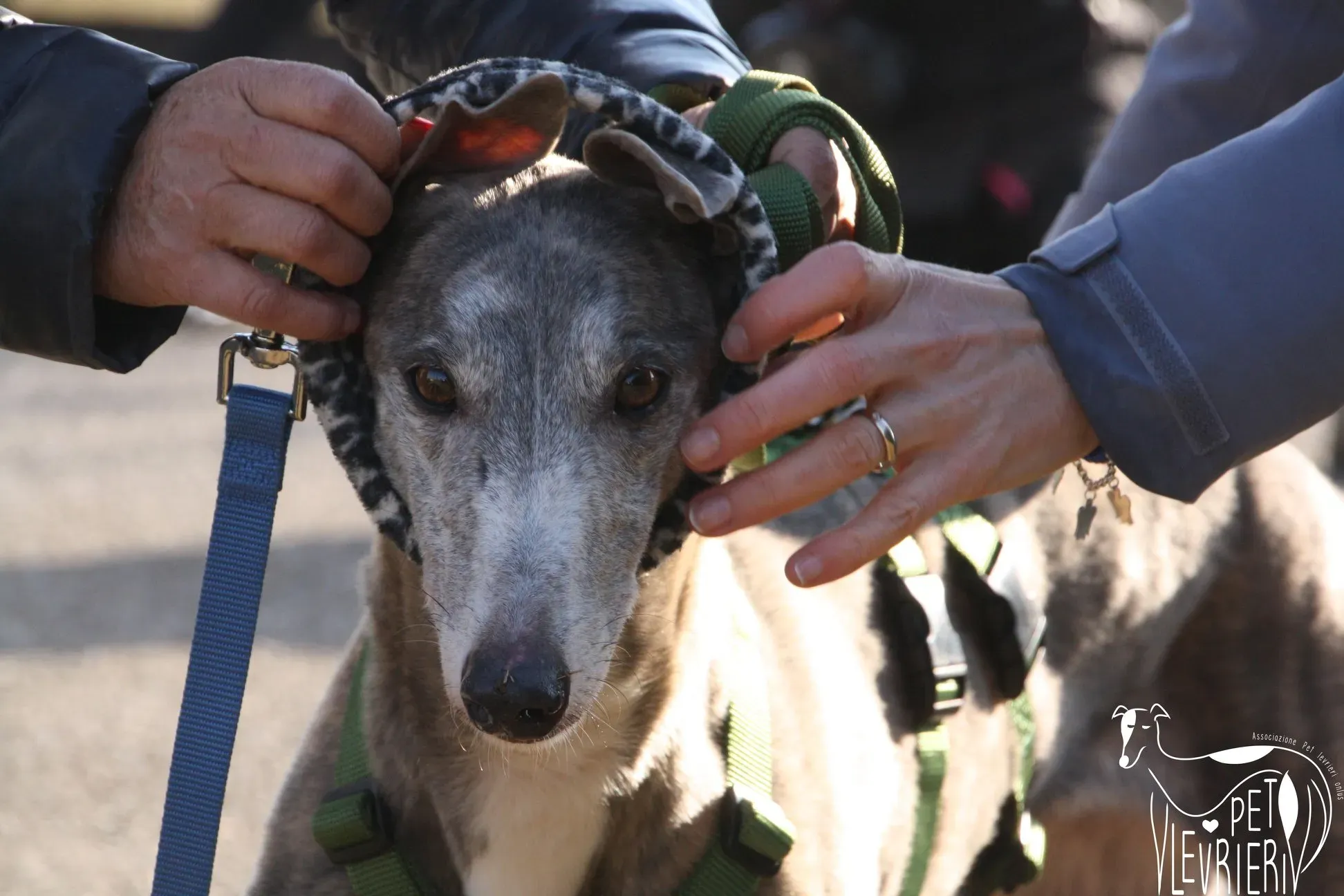 50689038 2085879384829239 8296835256237948928 o