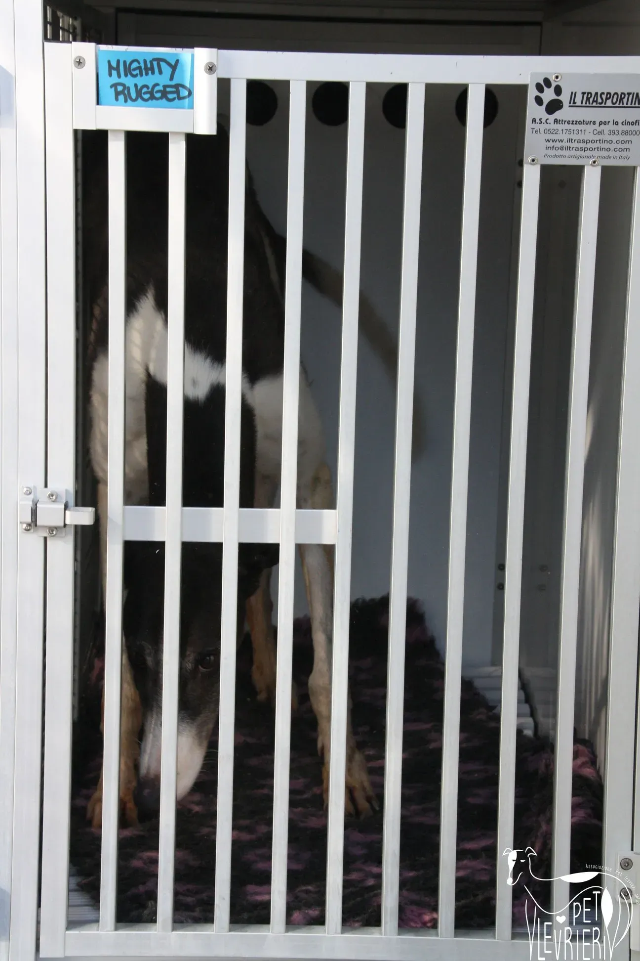 50722850 2085877358162775 3725564729742065664 o