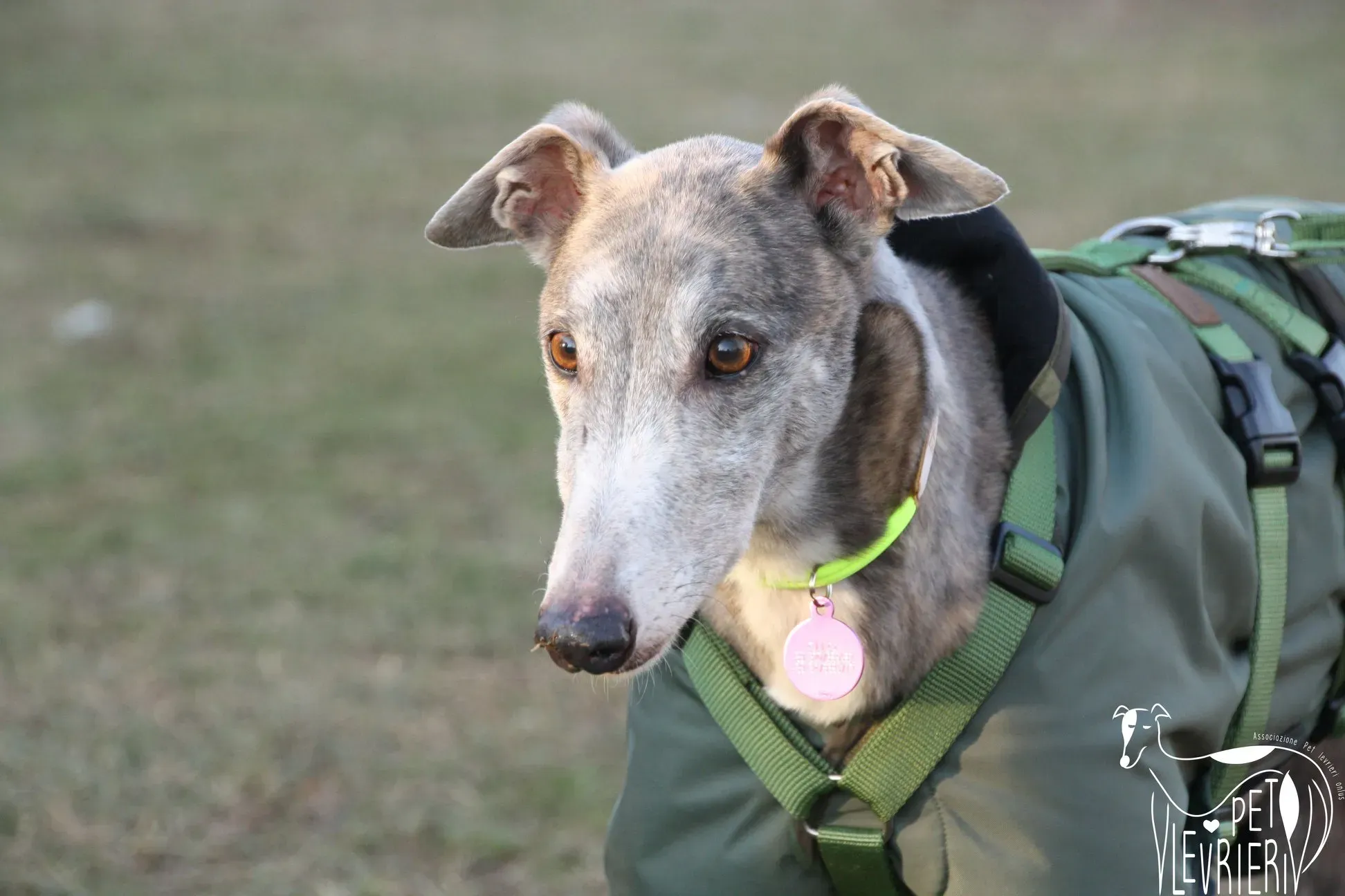 50724729 2085886674828510 1326672181773467648 o