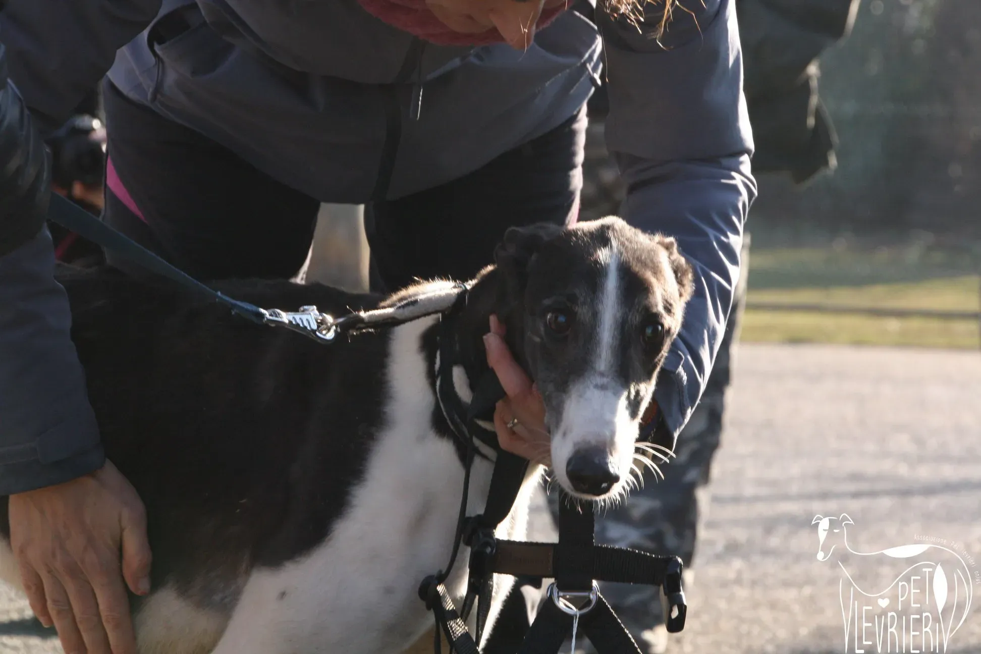 50734582 2085880074829170 7189219188383154176 o