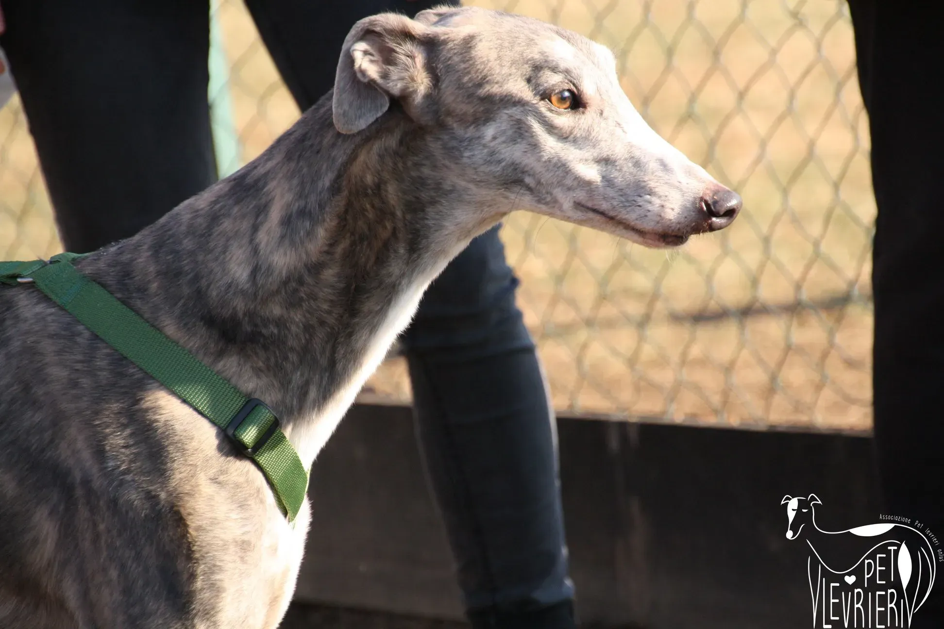 50739481 2085881638162347 5690396148926251008 o