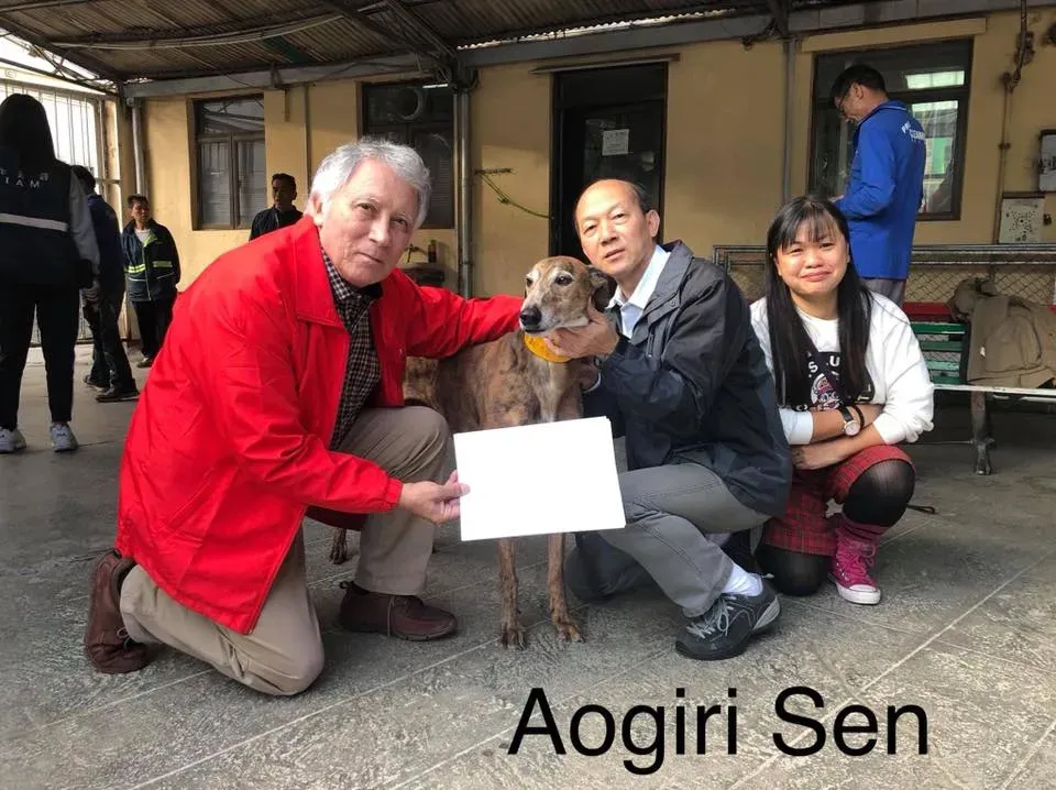 50755919 2089826424434535 684057641642622976 n