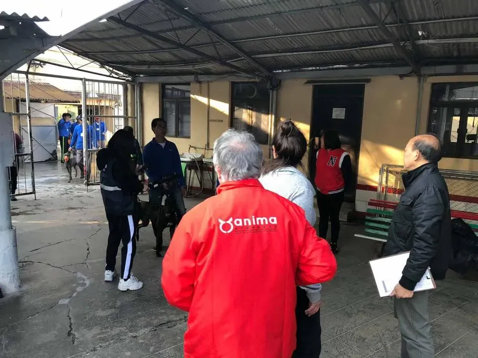 50758760 2080689072014937 226396024048975872 n