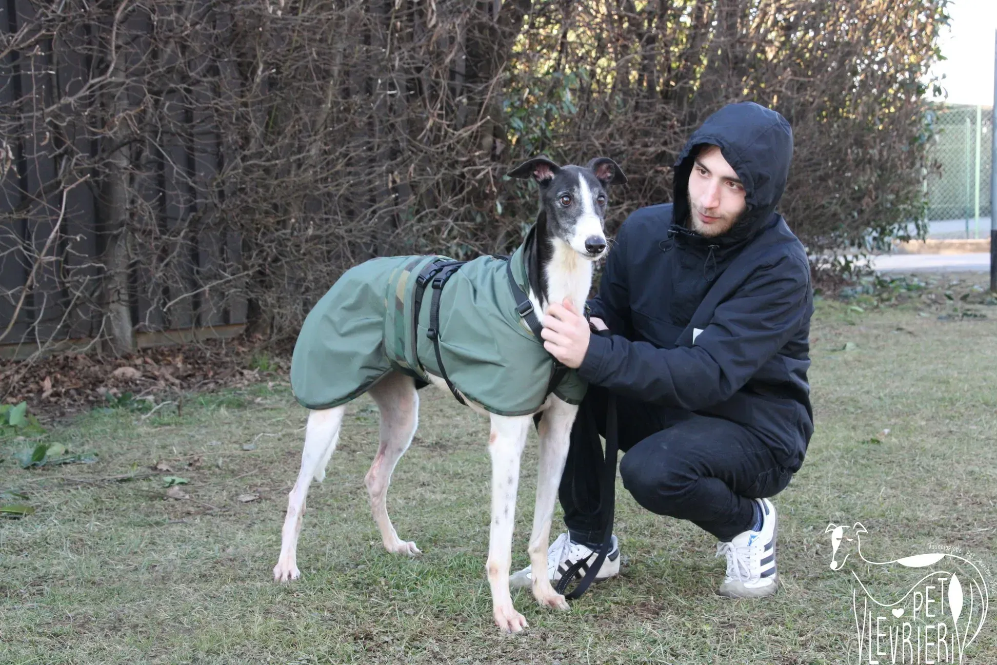 50777230 2085894741494370 2271226616484986880 o