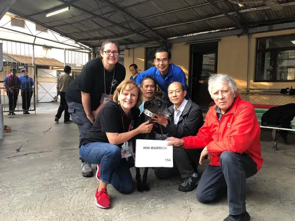 50780474 2083803318370179 6732729353831972864 n